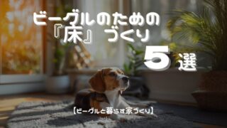 【ビーグルと暮らす家づくり】ビーグルのための「床」づくり5選
