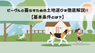 ビーグルと暮らすための土地選びを徹底解説！！【土地選びの基本条件とは？】