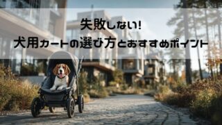失敗しない!犬用カートの選び方とおすすめポイント