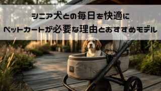 シニア犬との毎日を快適に。ペットカートが必要な理由とおすすめモデル