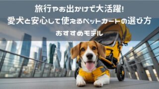 旅行やお出かけで大活躍！愛犬と安心して使えるペットカートの選び方とおすすめモデル