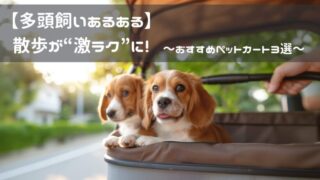 【多頭飼いあるある】散歩が“激ラク”になるペットカート３選
