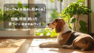 ビーグルとの暮らし総まとめ｜性格・特徴・飼い方・家づくり・おすすめグッズ