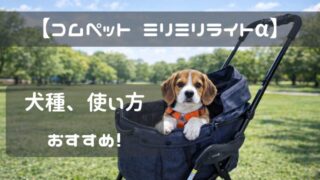 【お手頃で使いやすい】コムペット ミリミリライトαはこんな犬種、こんな使い方をする人におすすめ！
