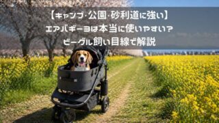 【キャンプ・公園・砂利道に強い】エアバギー3は本当に使いやすい？ビーグル飼い目線で解説
