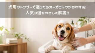 犬用シャンプーで迷ったらオーガニックがおすすめ!|人気3選をやさしく解説