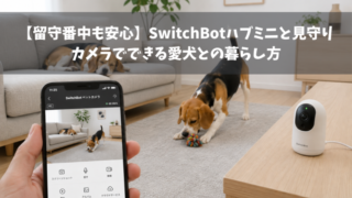 【留守番中も安心】SwitchBotハブミニと見守りカメラでできる愛犬との暮らし方
